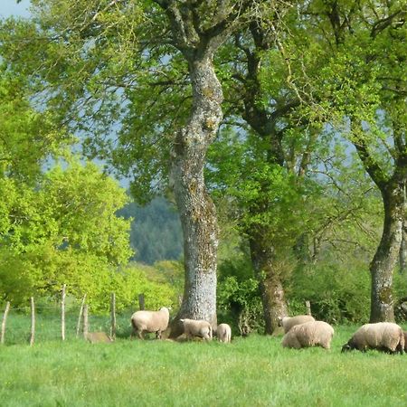 Maison De Campagne Ideale Pour Familles, Cavaliers, Animaux Acceptes, Avec Jardin Clos Et Tout Equipe. - Fr-1-489-172 Villa Barrais-Bussolles Exteriör bild